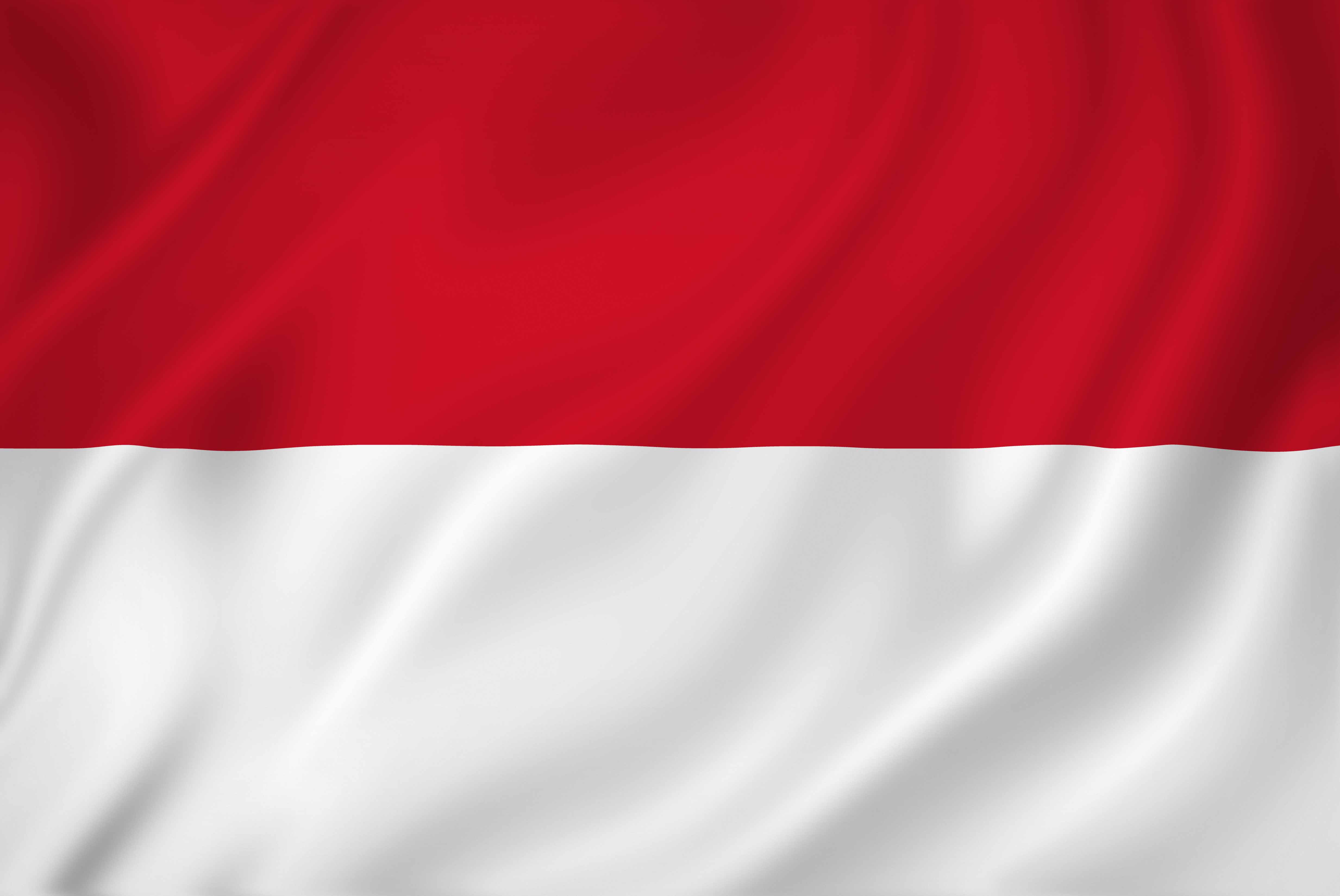 Red logística de Indonesia