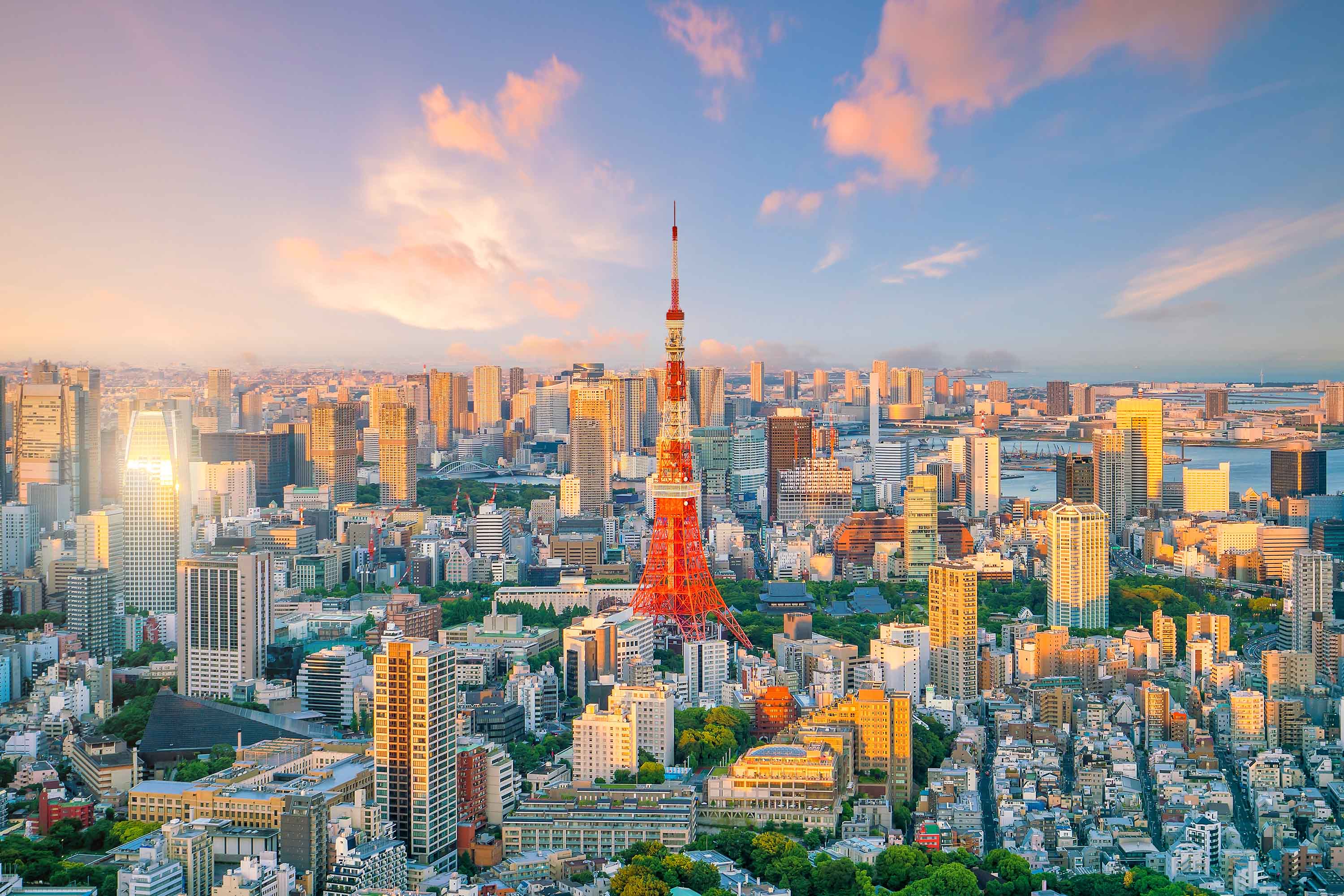 Logistik- und Lieferkettenabläufe in Tokio