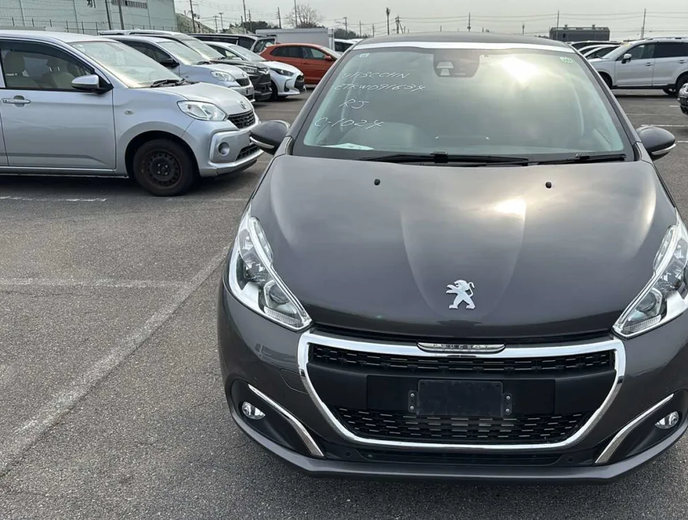 PEUGEOT 208 TECH EDITION MOONROOF - PRG Motors Ltd