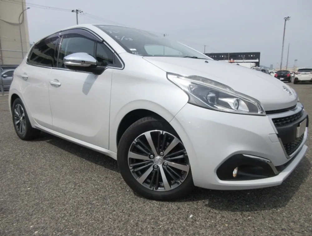 PEUGEOT 208 LEATHER SEATS