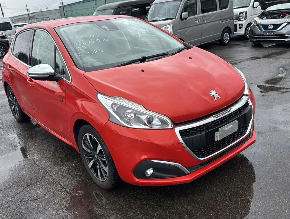 PEUGEOT 208 TECH EDITION