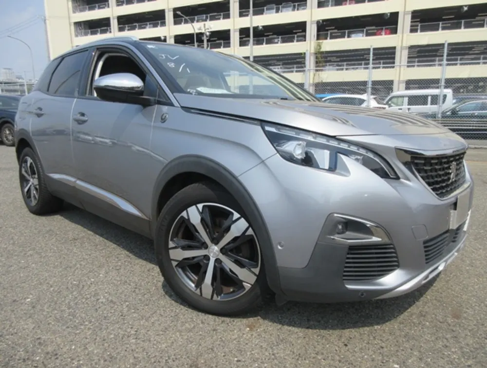 PEUGEOT 3008 CROSSCITY