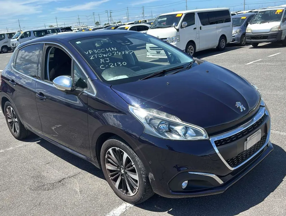 PEUGEOT 208 TECH EDITION