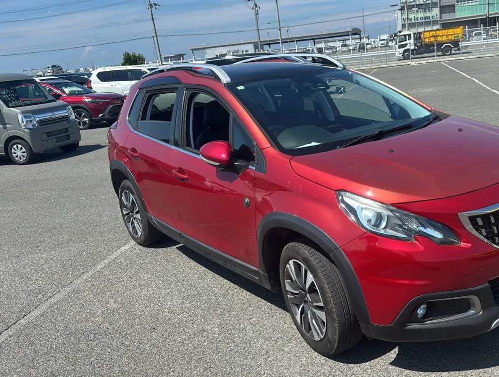 PEUGEOT 2008 CROSSCITY