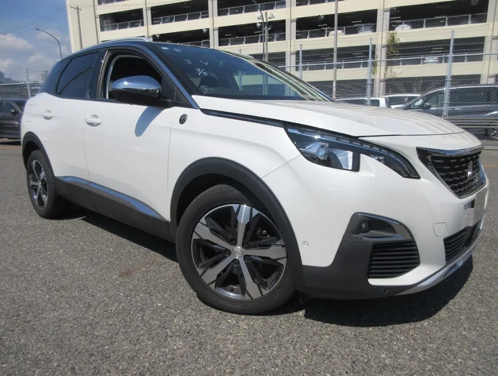 PEUGEOT 3008 CROSSCITY