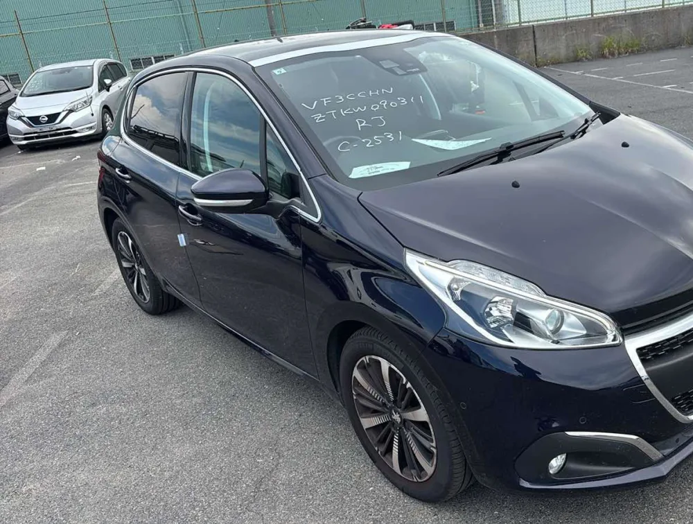 PEUGEOT 208 TECH EDITION MOONROOF