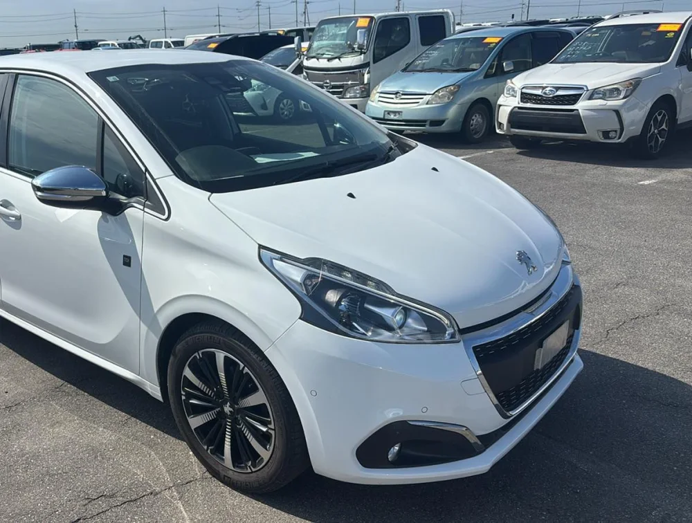 PEUGEOT 208 TECH EDITION