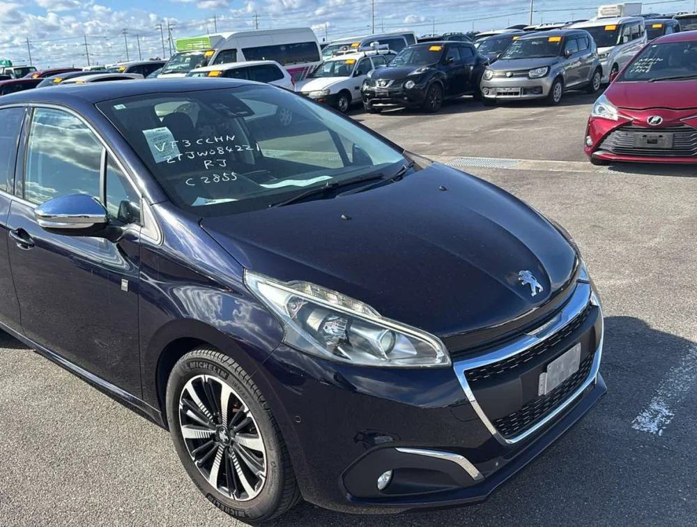 PEUGEOT 208 TECH EDITION