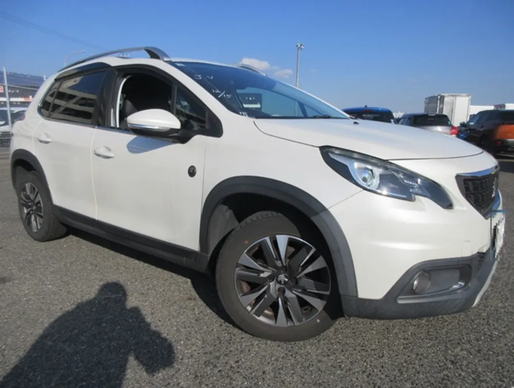 PEUGEOT 2008 CROSSCITY