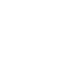 WhaleG Logo