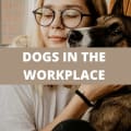 Dogs in the Workplace