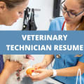 What To Include On A Veterinary Technician Resume + Veterinary Technician Skills