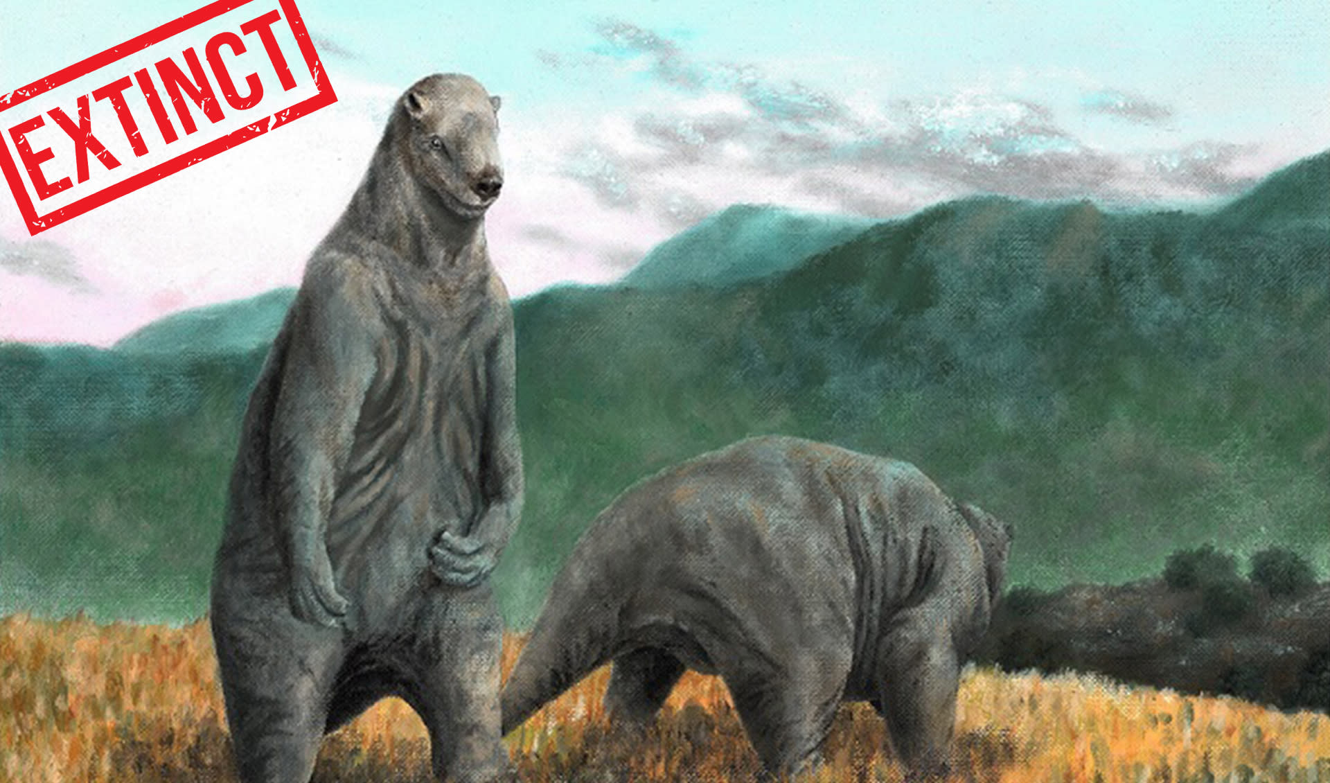Megatherium - Giant ground sloth: facts, distribution & population | BioDB