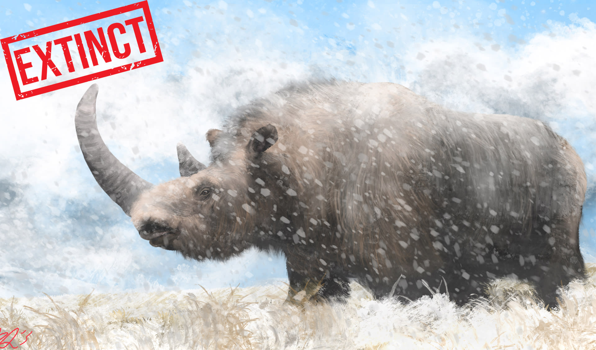 Ancient Rhinoceros Woolly rhinoceros facts, distribution & population | BioDB