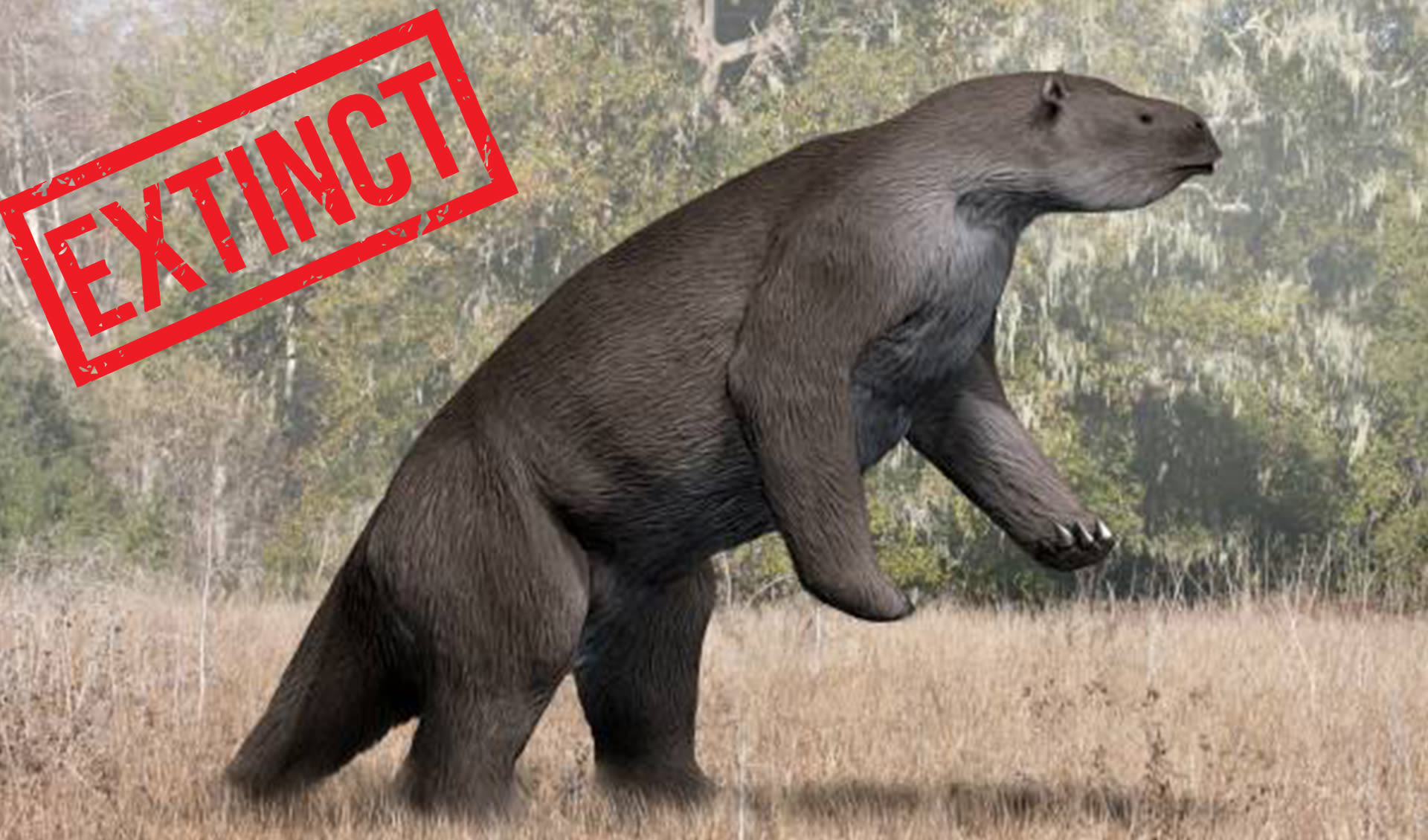 Giant ground sloth facts, distribution & population | BioDB