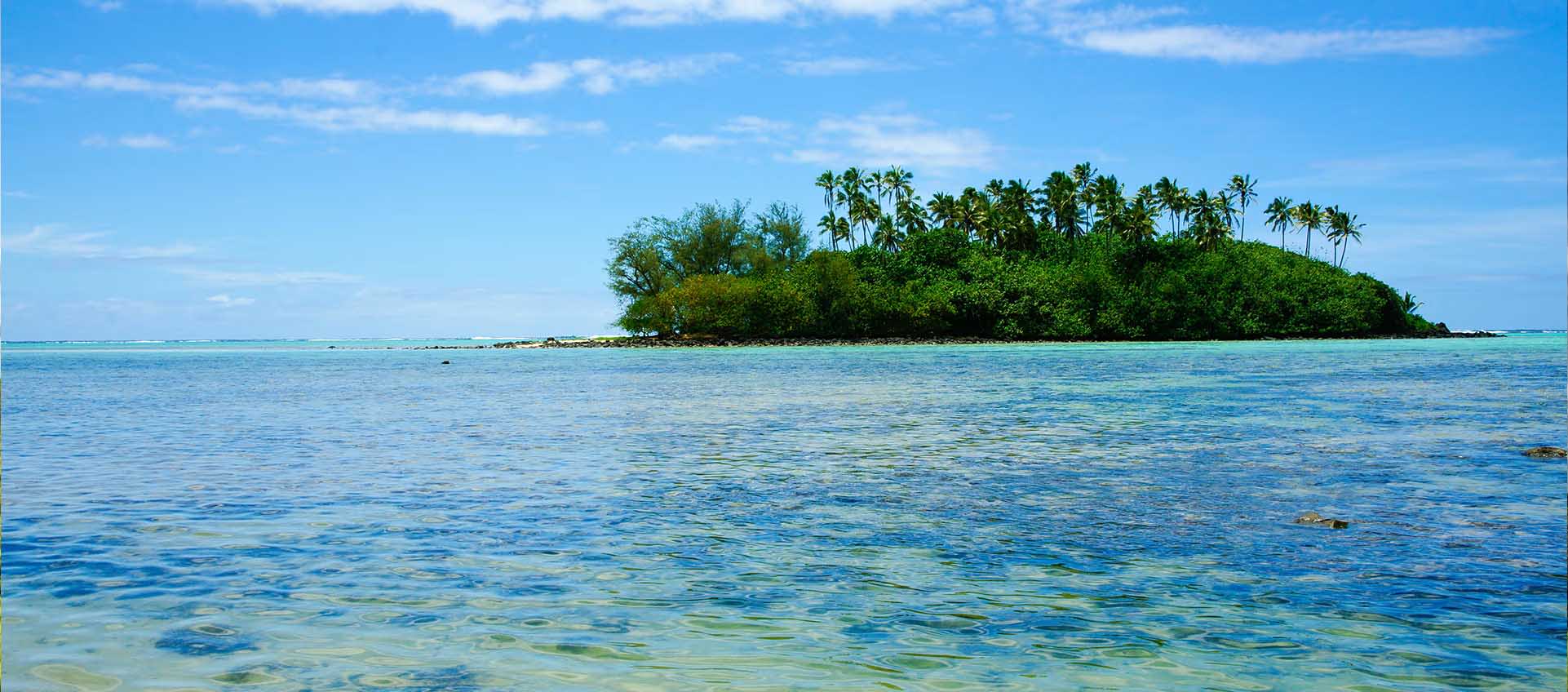 Cook Islands Biodiversity and Nature Conservation | BioDB