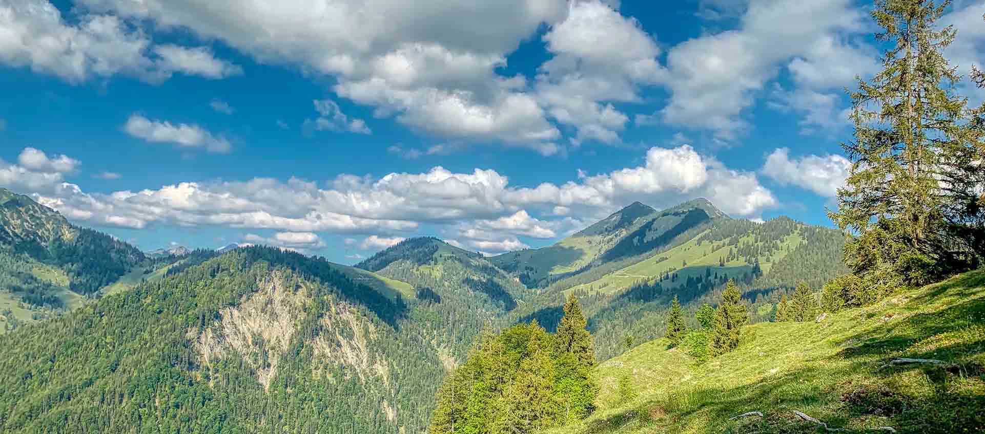 Germany Biodiversity and Nature Conservation | BioDB
