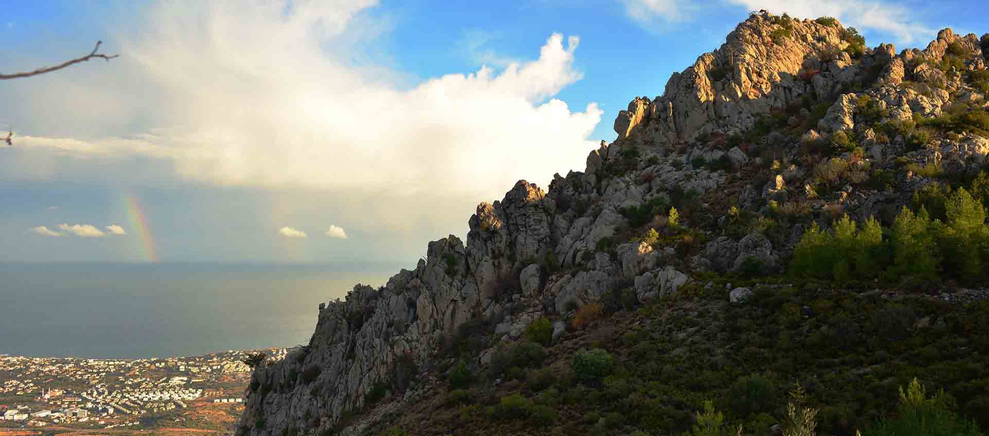 Cyprus Biodiversity and Nature Conservation | BioDB