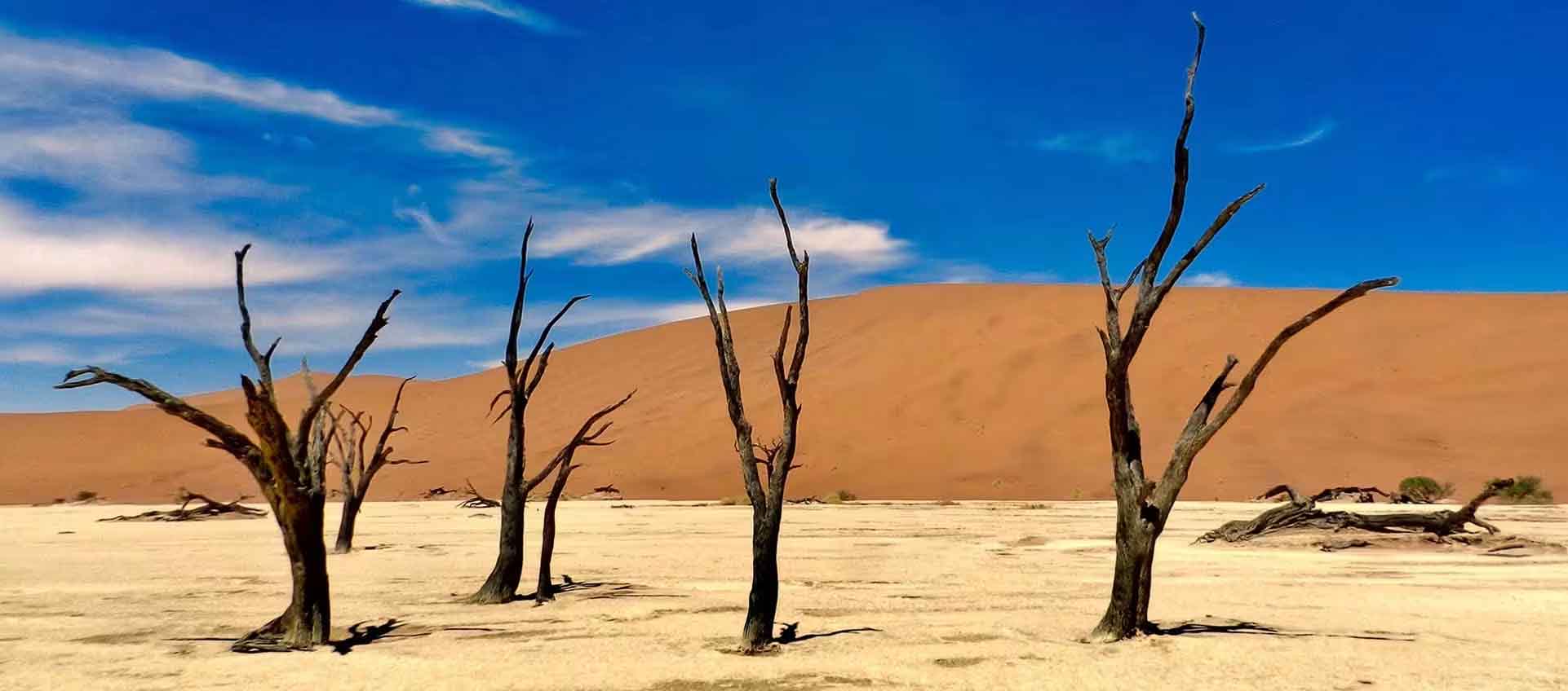 Namibia Biodiversity and Nature Conservation | BioDB