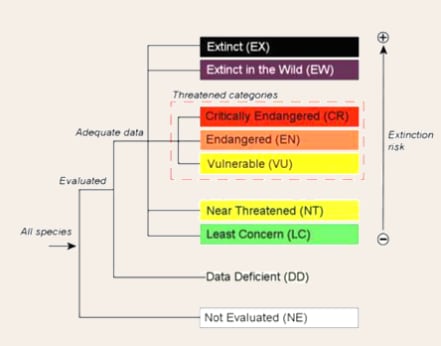 Conservation statuses explained | BioDB