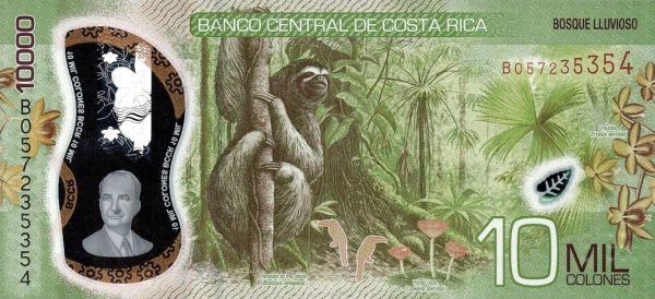 Brown-throated sloth facts, distribution & population | BioDB