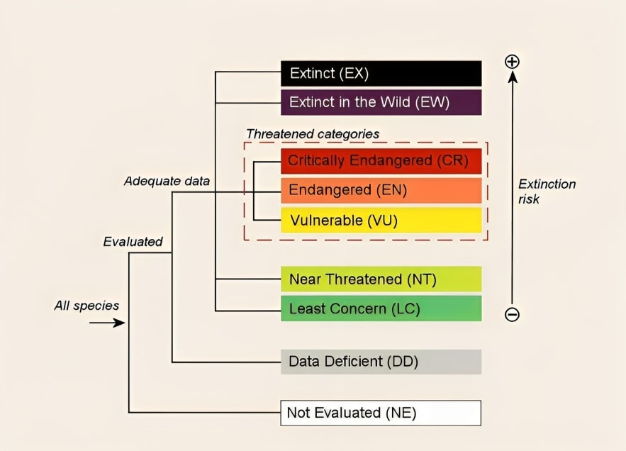 Conservation Status Spectrum Conservation statuses explained | BioDB