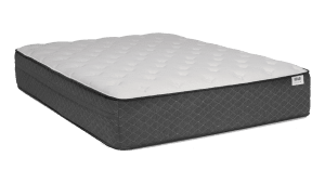 Bear Mattress Review