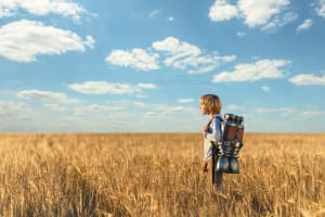 Dreaming boy in a field