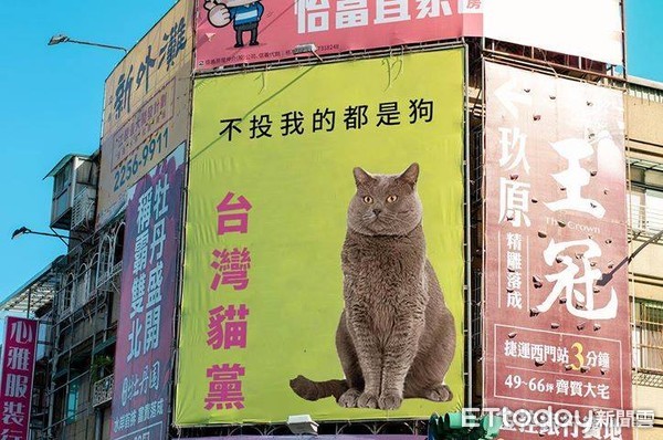 台灣貓黨