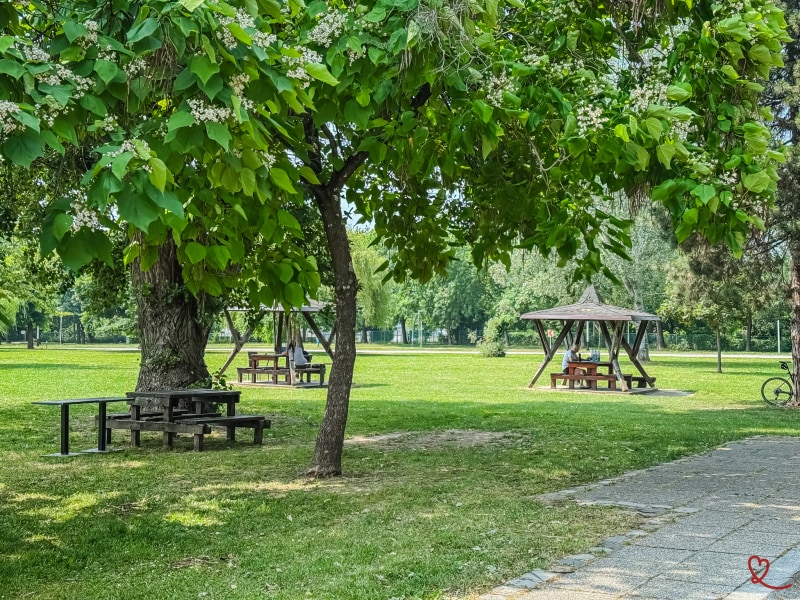 Parque con refugios de madera y mesas de picnic bajo los árboles.