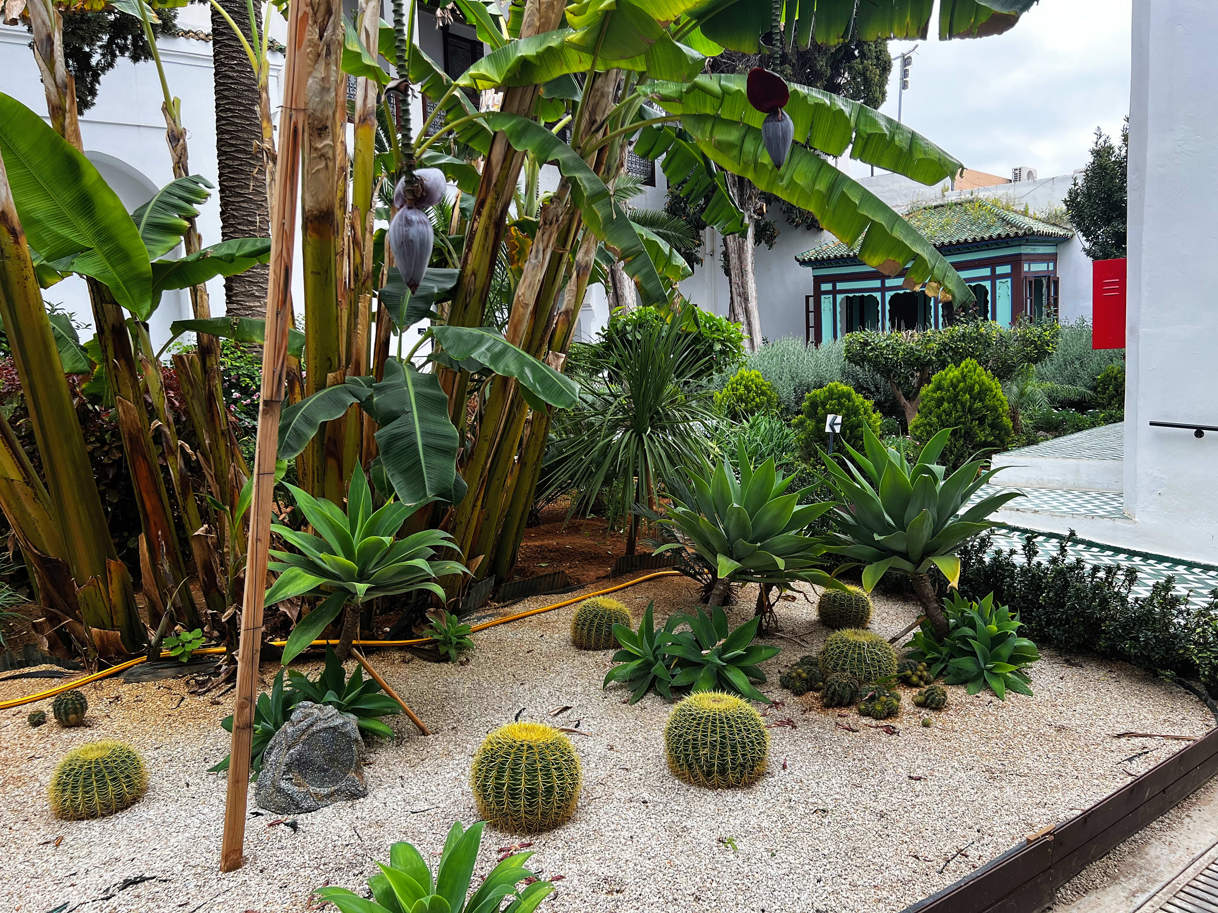 Jardin andalou