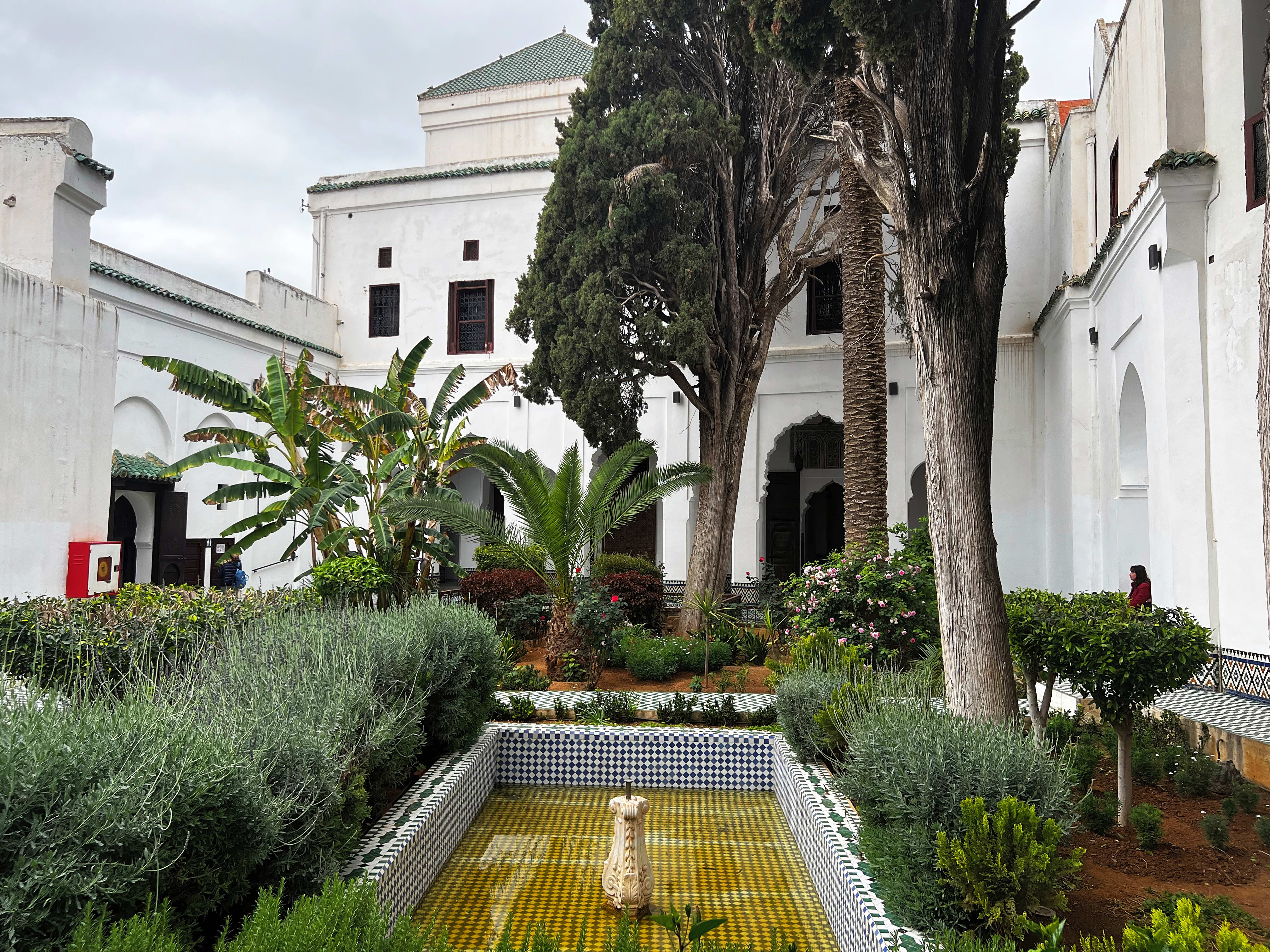 Cour intérieure avec bassin et végétation au Musée Dar Jamaï