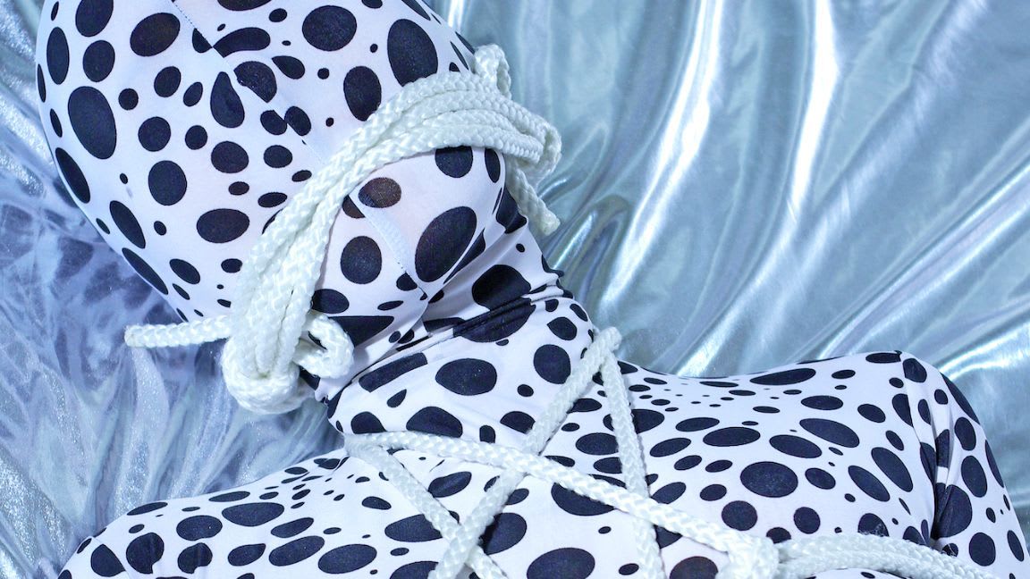 Person wearing a Dalmatian spotty zentai suit, wrapped up with bondage ropes