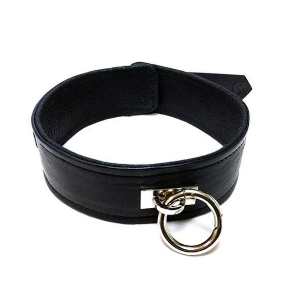 Plain black leather collar with a trigger hook