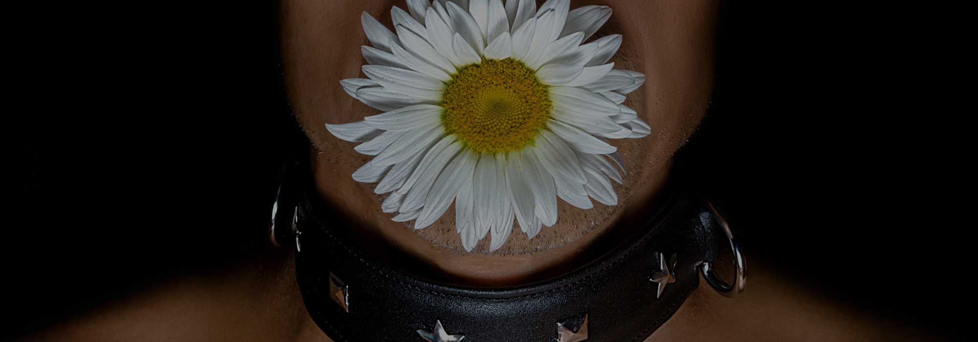 BDSM Collar wearing female with a white flower in her mouth