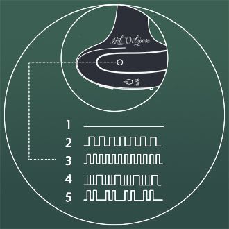 drawing representing the five different patterns on the plex with flex