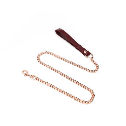 Gold chain strap with leather collar from the Red Wine LEather Collar and Lead