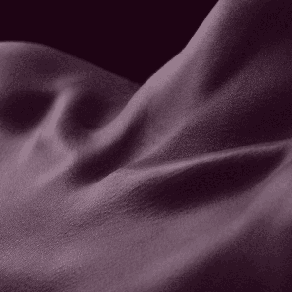 sepia image of female's exposed neck and collarbone