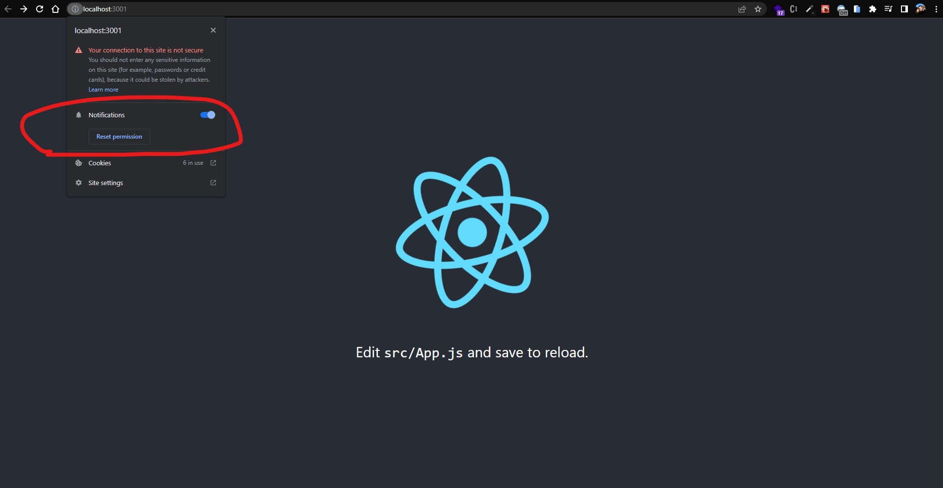 Notification permission in browser