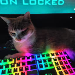 ShmeeCat