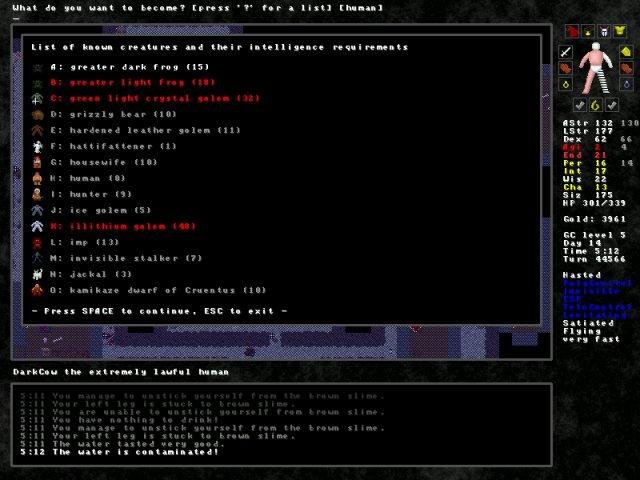 IVAN roguelike character and dungeon, older version