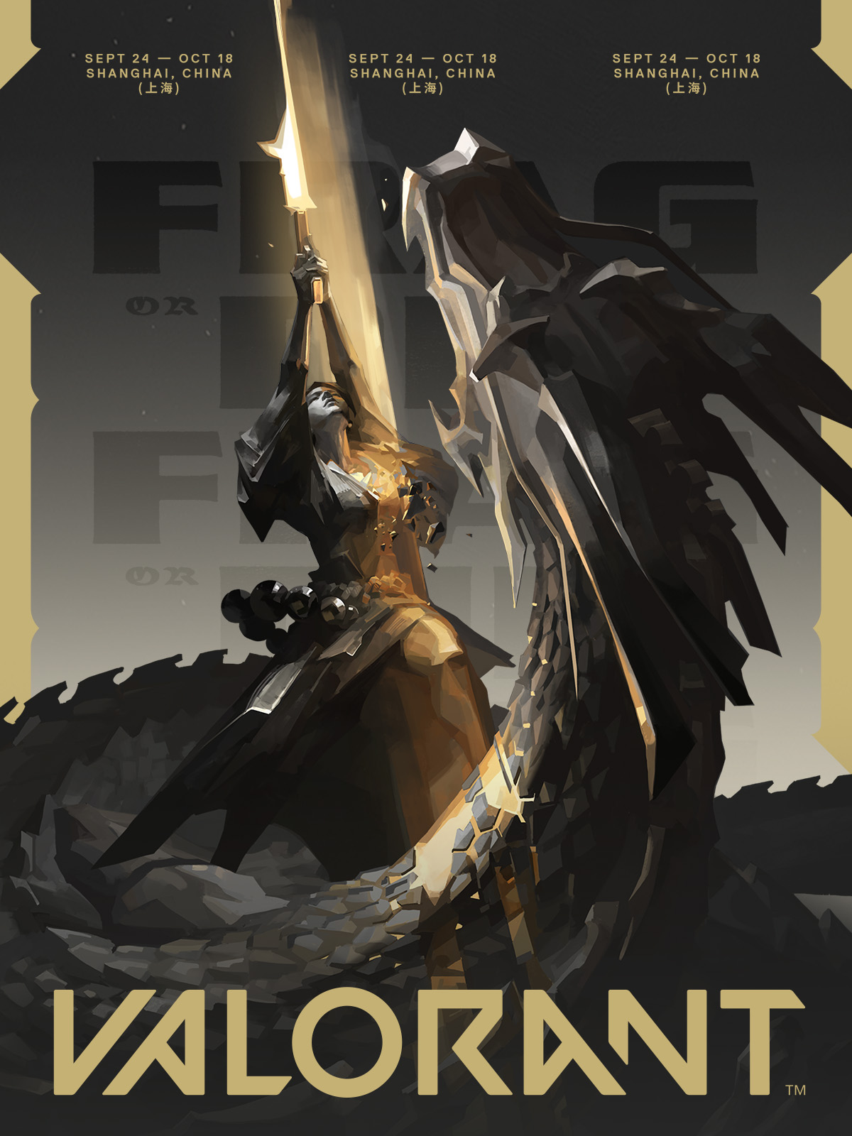 VALORANT cover art
