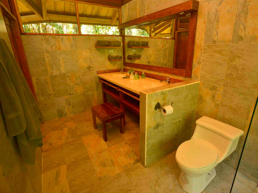 The Sacha Lodge Amazon Tour, Coca, Ecuador