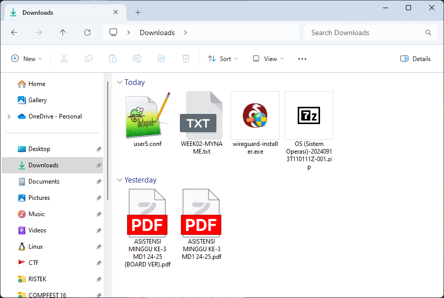 Windows 11