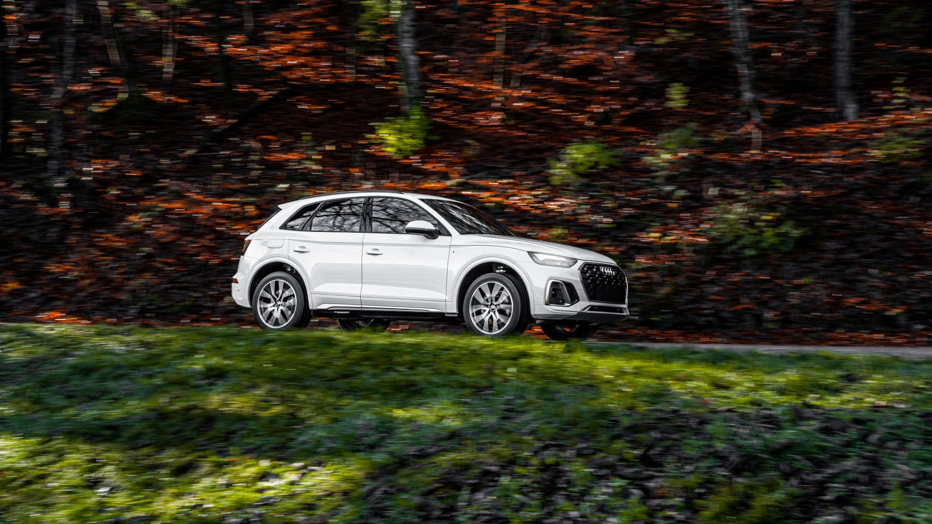 Audi Q5 bianca in movimento su una strada di montagna, con il bosco d’autunno sullo sfondo