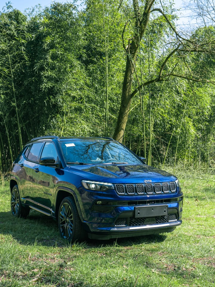 Jeep Compass blu parcheggiata sul prato davanti a un boschetto di bambù
