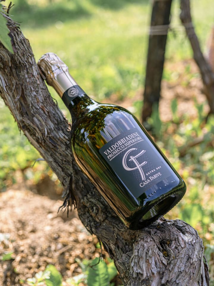 Valdobbiadene Prosecco Superiore Extra Dry Casa Farive appoggiato al ceppo di una vite, in vigneto