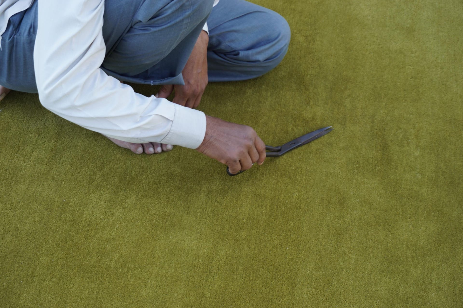 Olive Moss Velvet Plain