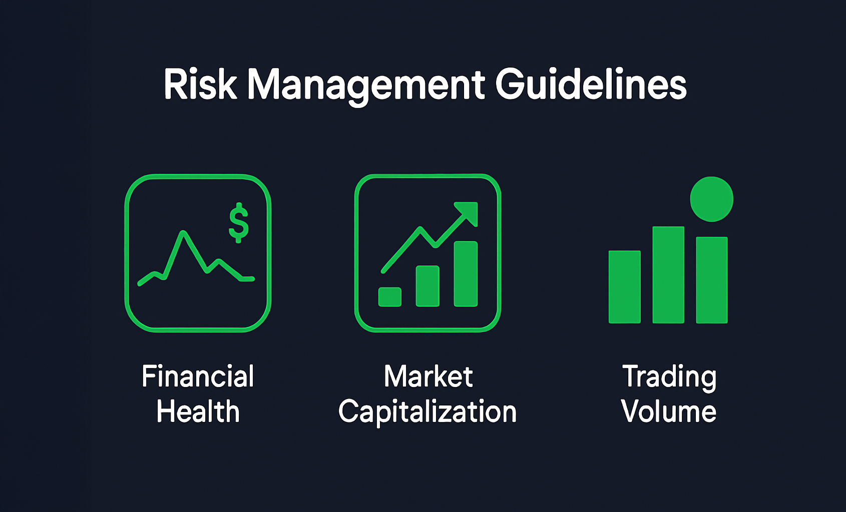 Risk Management Guidelines Infographic