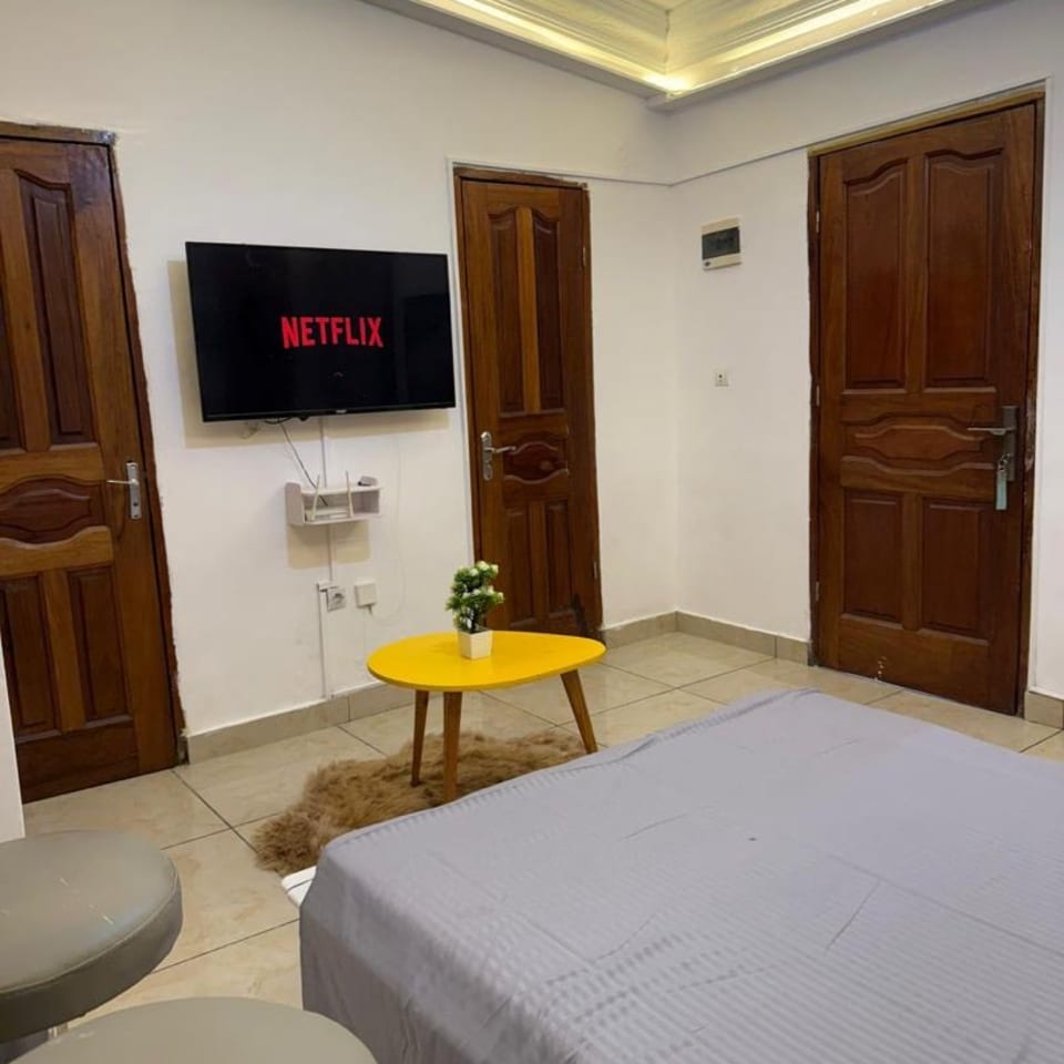 appartement 1 pièce 